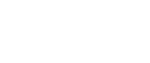 Goverment and Institution